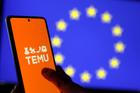 FILE PHOTO: Illustration shows Temu logo and EU flag