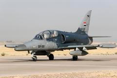 Prezident Petr Pavel v neděli uvedl, že Ukrajina navrhla odkoupení letounů L-159, což by pro českého výrobce byla příležitost. Ilustrační foto.