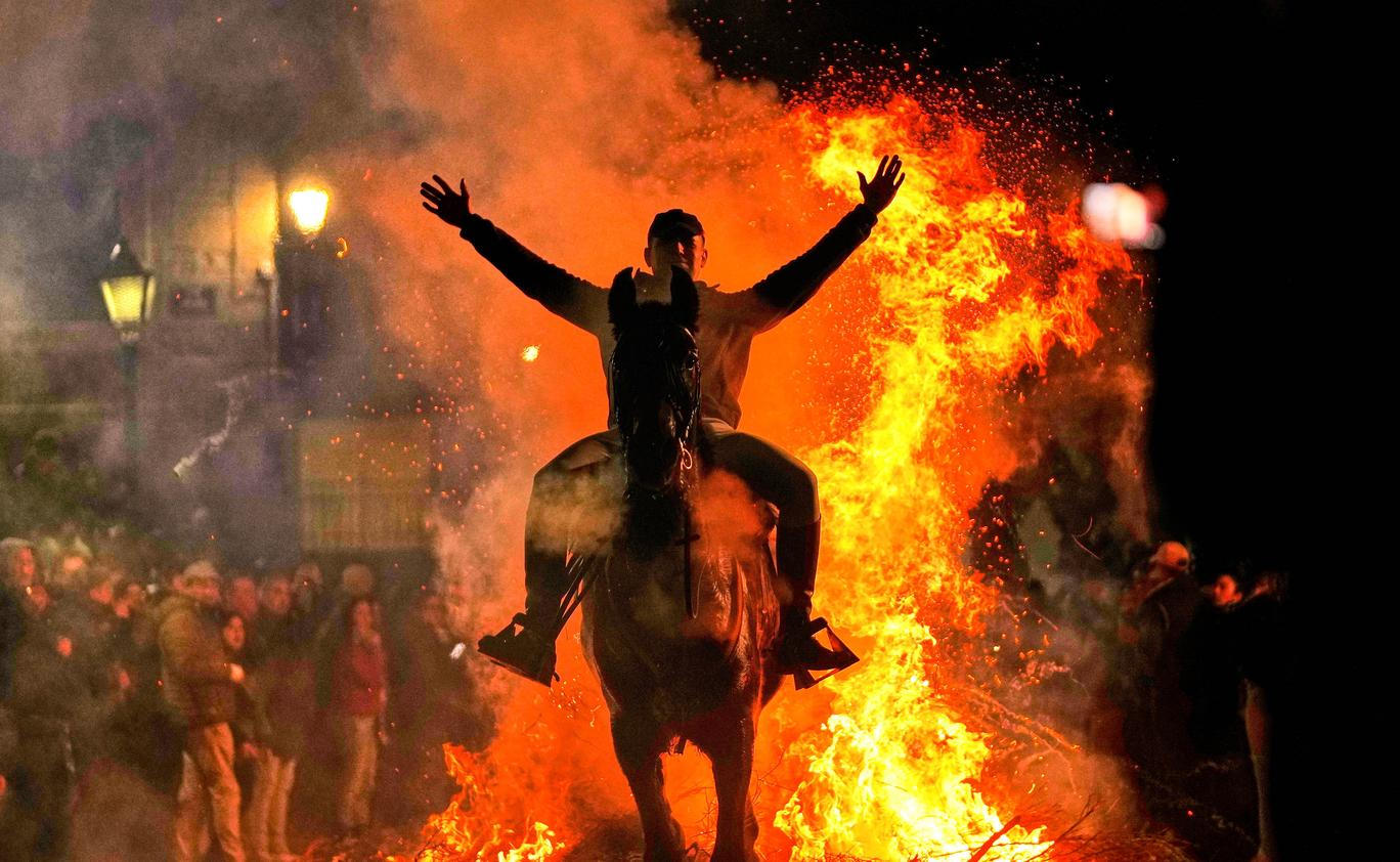 APTOPIX Spain Saint Anthony Animals