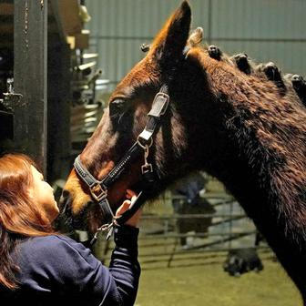 Ohnivý rituál koní: Las Luminarias je noc plná kouře a legend