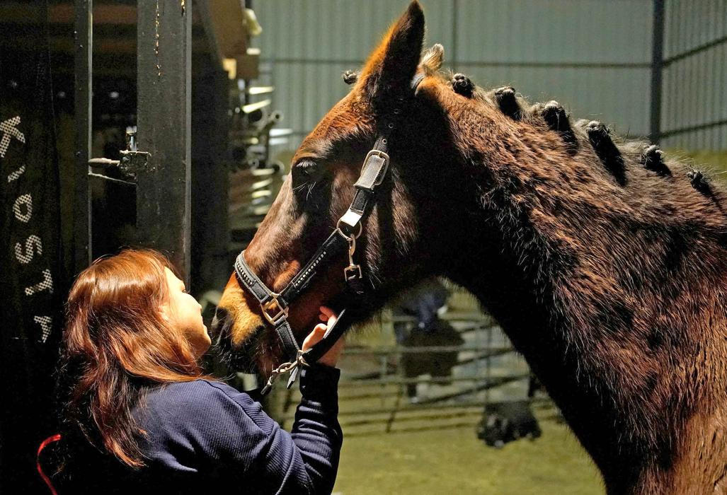 Ohnivý rituál koní: Las Luminarias je noc plná kouře a legend
