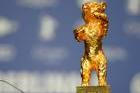 Golden,Bear,Attends,Press,Conference,After,Winning,The,Golden,Bear