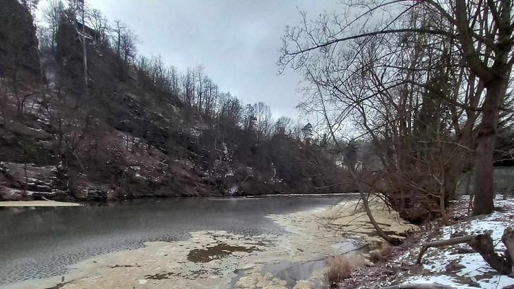 Zvířecí výkaly unikly z farmy u Podmyčí na Znojemsku do řeky Dyje.