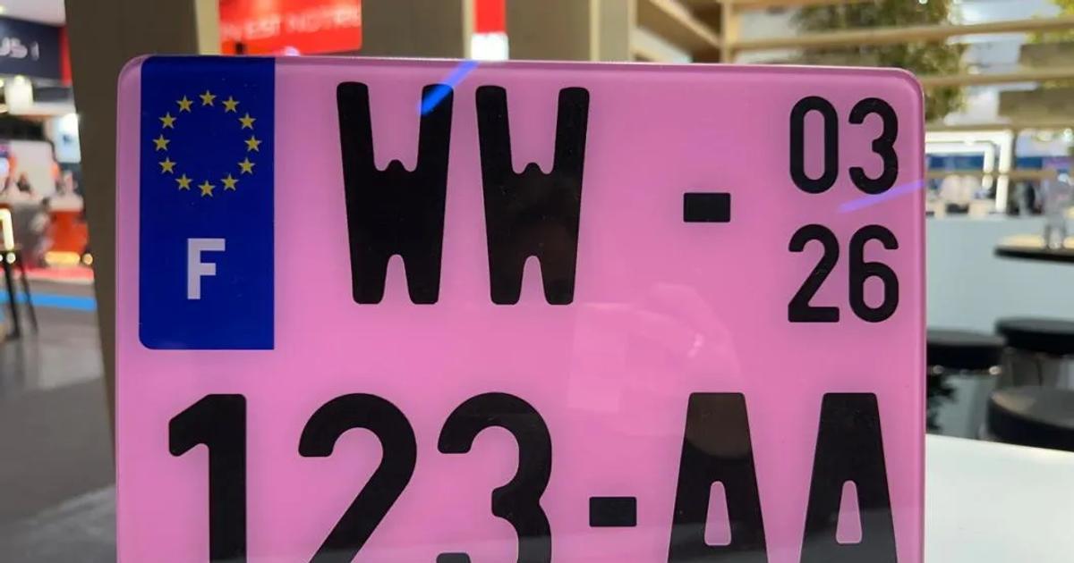 Automobilový podvod za miliony. Nepoctivé řidiče mají zastavit růžové SPZ