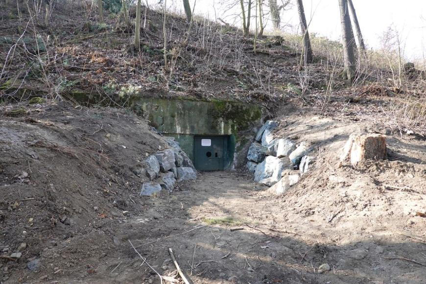 Tajemství Divoké Šárky: nacisté tam budovali pevnost, vězně po práci popravili