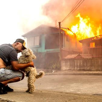 Z plamenů do náruče: příběhy hrdinů na čtyřech tlapkách