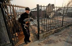 Z plamenů do náruče: příběhy hrdinů na čtyřech tlapkách