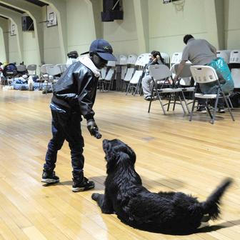 Z plamenů do náruče: příběhy hrdinů na čtyřech tlapkách