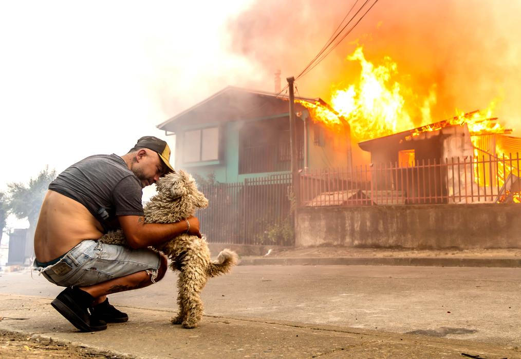 Z plamenů do náruče: příběhy hrdinů na čtyřech tlapkách