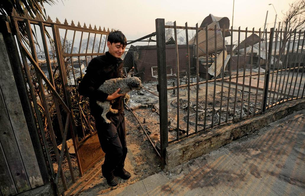 Z plamenů do náruče: příběhy hrdinů na čtyřech tlapkách