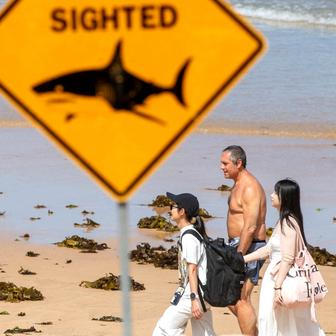 Škoda tyhle fotky minout: tenis a haute couture, pozor „Čelisti“ a ledový mráz