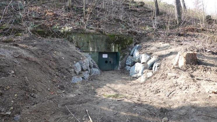 Šárecké podzemí postavili nacisté. Dnes tam žijí netopýři. 