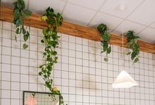 „Trošku to byl záměr, vymyslet název, který bude vyvolávat otázky,“ přiznávají majitele podniku Tom a Táňa, jejichž původní plán byl vlastně jednoduchý: otevřít něco malého, rychlého, poctivého. Nic víc, nic míň.