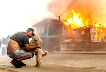 Z plamenů do náruče: příběhy hrdinů na čtyřech tlapkách