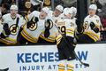 Radost hokejistů Bostonu Bruins 