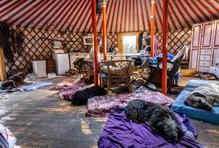 Cesta Jany Taasante k psímu hospicu začala před více než třinácti lety. Tehdy žila v Brně a na první pohled byla úspěšnou třicetiletou ženou: měla vystudovanou právnickou fakultu a provozovala vlastní personální agenturu. 