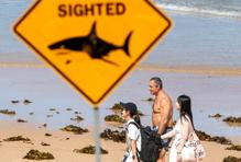 Škoda tyhle fotky minout: tenis a haute couture, pozor „Čelisti“ a ledový mráz