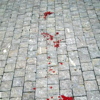 František Mrázek, podnikatel, vražda,policie ČR