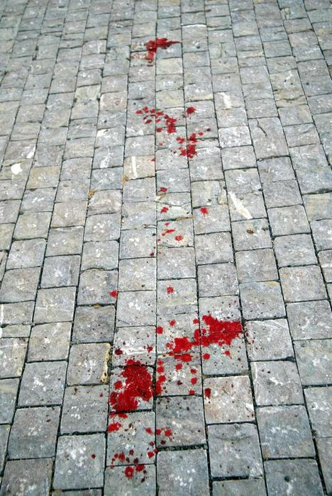 František Mrázek, podnikatel, vražda,policie ČR