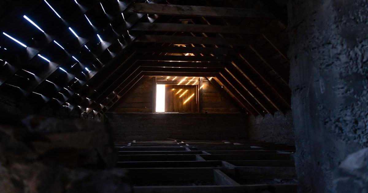 Starý rodinný dům, ticho po babiččině odchodu a běžný úklid, který se změnil v nečekaný nález. Příběh ukazuje, že i zdánlivě obyčejná místa mohou skrývat pozůstatky minulosti, o nichž rodina neměla tušení.