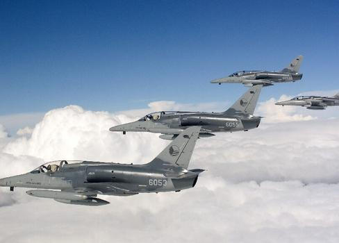 Čtveřice jednomístných strojů L-159 Alca. To je podle armády maximální počet, který může ze svých čáslavských hangárů dodat Kyjevu.