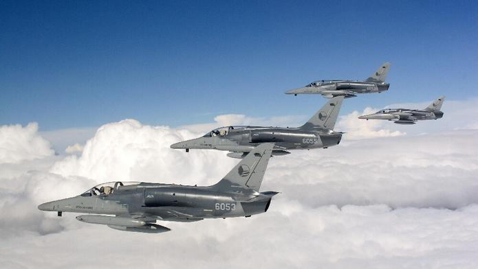 Čtveřice jednomístných strojů L-159 Alca. To je podle armády maximální počet, který může ze svých čáslavských hangárů dodat Kyjevu.