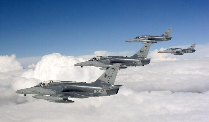 Čtveřice jednomístných strojů L-159 Alca. To je podle armády maximální počet, který může ze svých čáslavských hangárů dodat Kyjevu.