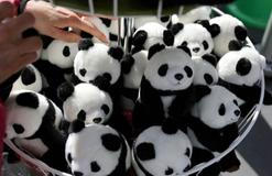 Panda-diplomacie v akci: Tokio se loučí s chlupatými „velvyslanci“