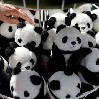 Panda-diplomacie v akci: Tokio se loučí s chlupatými „velvyslanci“