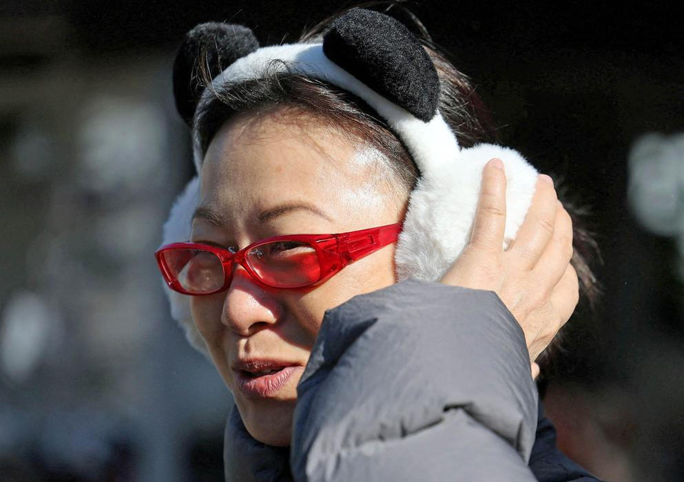 Visitors flock to see giant pandas Xiao Xiao and Lei Lei at Ueno Zoo during the last viewing day before the planned return of twin giant pandas to China in Tokyo