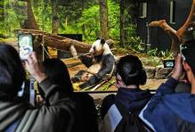 Panda-diplomacie v akci: Tokio se loučí s chlupatými „velvyslanci“