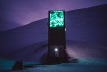 Trezor se nachází za hranicí města, v zóně, kam se bez doprovodu nedoporučuje chodit. Právě tady totiž končí „bezpečný svět lidí“ a začíná teritorium ledních medvědů. 