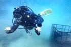 Chilean firm ages wine in underwater cellars