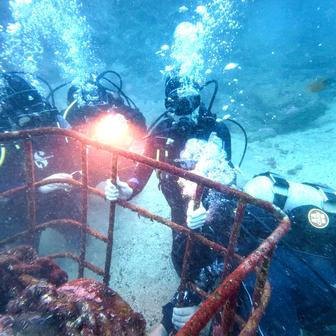 Vína z hlubin Pacifiku