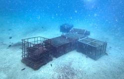 Vína z hlubin Pacifiku