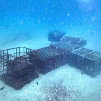 Vína z hlubin Pacifiku