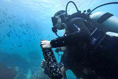 Vína z hlubin Pacifiku