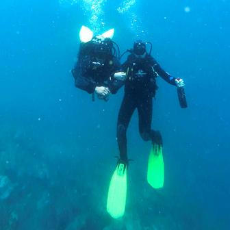 Vína z hlubin Pacifiku