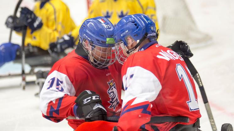 Čeští parahokejisté - ilustrační foto