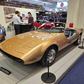 Celé jedno patro haly 7, kde byla stěžejní část výstavy, patřilo prodejcům veteránů a dalším velkým autogaleriím. Jedna z nich zaujala třeba plážovou verzí Ferrari 365 GTC/4, kterou vyrobila karosárna Michelotti pro švýcarského podnikatele Willyho Felbera.