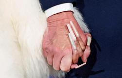 Škoda tyhle fotky minout: Nakašírovaný Putin, nehtíky fanynky č.1 nebo vesmírná krása