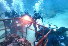 Vína z hlubin Pacifiku