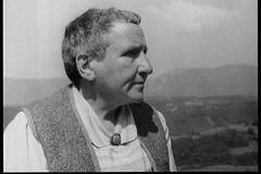 Portrait of Gertrude Stein, the famous American writer, highlighting her influence in the literary world during the early 20th century.