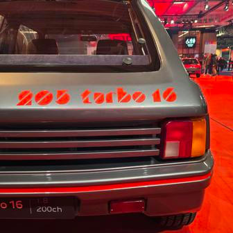 205 T16 vyhrála mistrovství světa v rallye v letech 1985 a 1986.