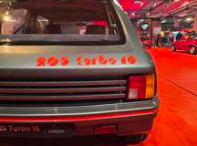 205 T16 vyhrála mistrovství světa v rallye v letech 1985 a 1986.