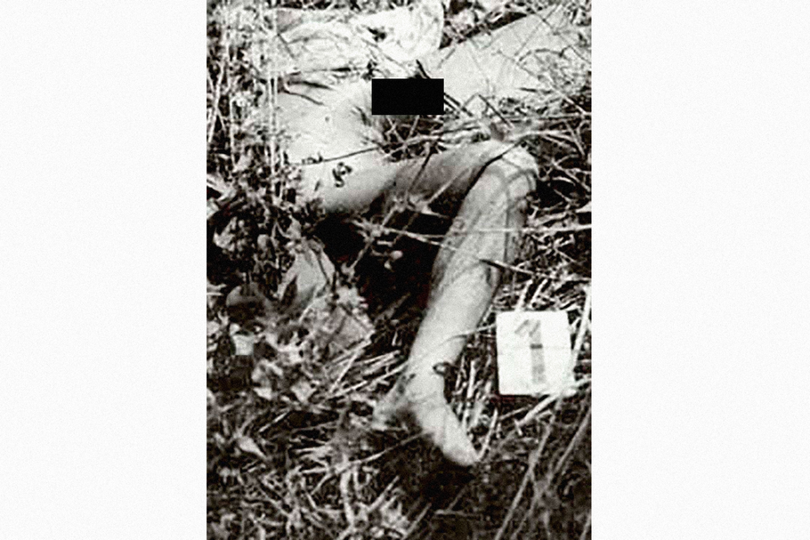 Zdenu H. její vrah uškrtil a zneužil. Při výslechu přiznal, že byl v tu dobu pod vlivem pervitinu.
