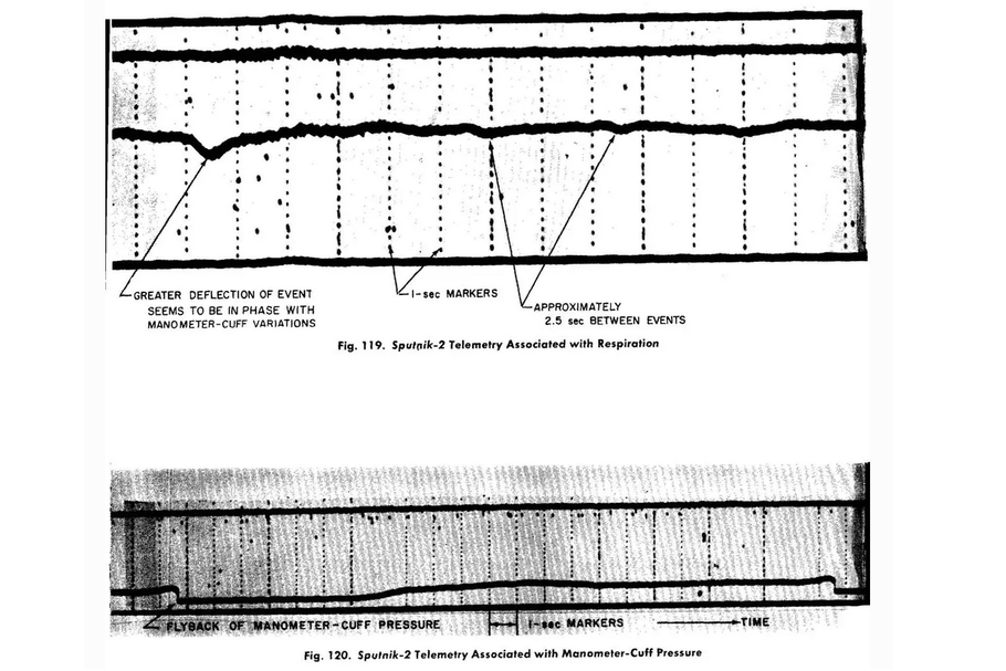 Telemetrické grafy dýchání a krevního tlaku Lajky během letu Sputniku 2, National Air and Space Museum, 1957.