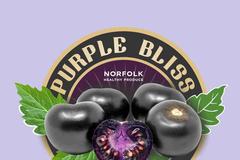 Fialová rajčata vyvinula americká společnost Norfolk Healthy Produce a ve Spojených státech se už prodávají. Další na řadě je Austrálie.