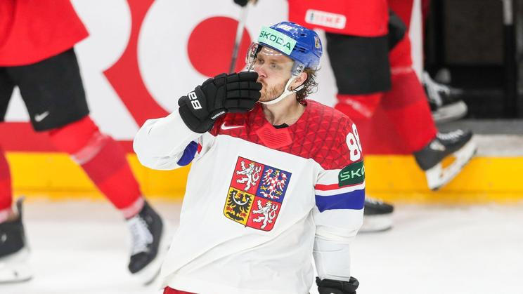 Prague, Czech Republic. 26th May, 2024. David Pastrnak of Czechia celebrating after scoring a goal during IIHF Ice Hockey World Championship 2024 final match between Sweden and Poland at O2 Arena Prague, Czech Republic Final score; Switzerland 0:2 Czechia