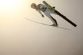 FIS Ski Jumping World Cup